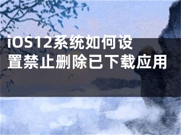 iOS12系統(tǒng)如何設(shè)置禁止刪除已下載應(yīng)用 