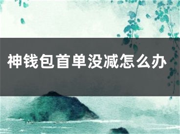 神錢包首單沒減怎么辦