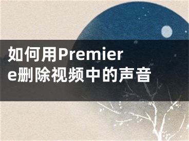 如何用Premiere刪除視頻中的聲音 