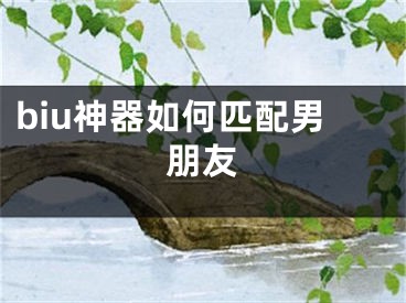 biu神器如何匹配男朋友