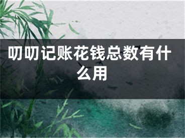 叨叨記賬花錢總數(shù)有什么用