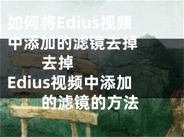 如何將Edius視頻中添加的濾鏡去掉          去掉Edius視頻中添加的濾鏡的方法