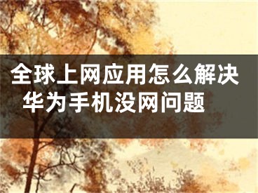 全球上網(wǎng)應(yīng)用怎么解決華為手機(jī)沒網(wǎng)問題 