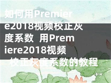 如何用Premiere2018視頻校正灰度系數(shù)  用Premiere2018視頻校正灰度系數(shù)的教程