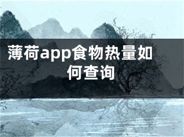 薄荷app食物熱量如何查詢(xún)