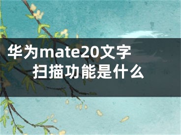 華為mate20文字掃描功能是什么