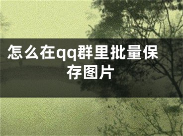 怎么在qq群里批量保存圖片