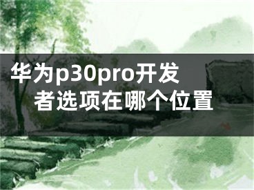 華為p30pro開發(fā)者選項(xiàng)在哪個(gè)位置