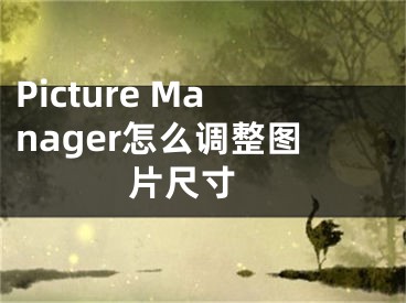 Picture Manager怎么調(diào)整圖片尺寸 