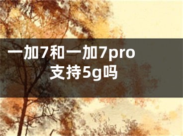 一加7和一加7pro支持5g嗎