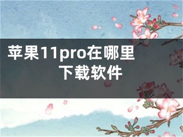 蘋果11pro在哪里下載軟件