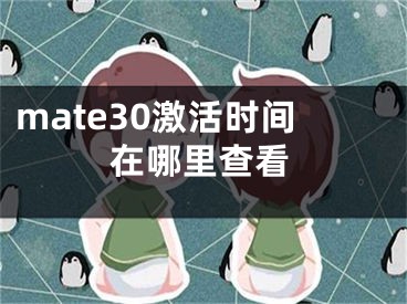 mate30激活時間在哪里查看