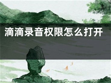 滴滴錄音權(quán)限怎么打開 