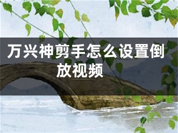 萬興神剪手怎么設(shè)置倒放視頻 