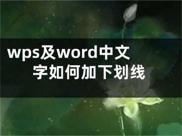 wps及word中文字如何加下劃線