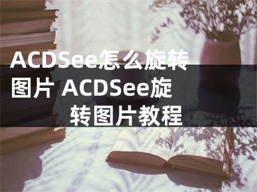 ACDSee怎么旋轉(zhuǎn)圖片 ACDSee旋轉(zhuǎn)圖片教程