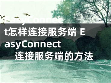 EasyConnect怎樣連接服務(wù)端 EasyConnect連接服務(wù)端的方法