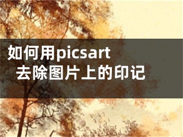 如何用picsart去除圖片上的印記 