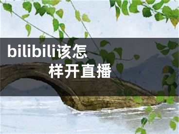 bilibili該怎樣開直播 