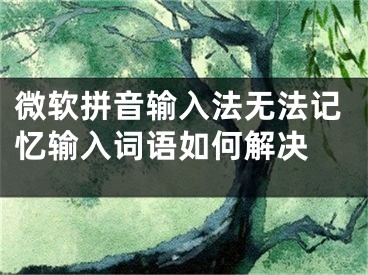 微軟拼音輸入法無(wú)法記憶輸入詞語(yǔ)如何解決 