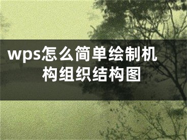 wps怎么簡單繪制機(jī)構(gòu)組織結(jié)構(gòu)圖