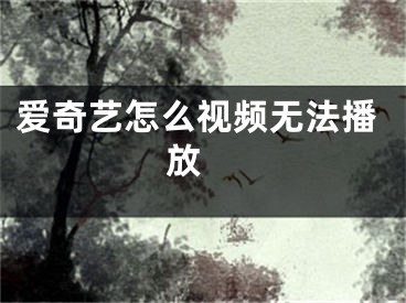 愛奇藝怎么視頻無法播放 