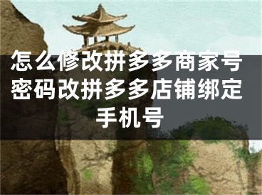 怎么修改拼多多商家號密碼改拼多多店鋪綁定手機號