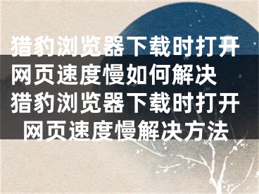 獵豹瀏覽器下載時(shí)打開網(wǎng)頁速度慢如何解決 獵豹瀏覽器下載時(shí)打開網(wǎng)頁速度慢解決方法