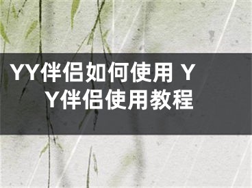 YY伴侶如何使用 YY伴侶使用教程