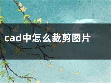 cad中怎么裁剪圖片