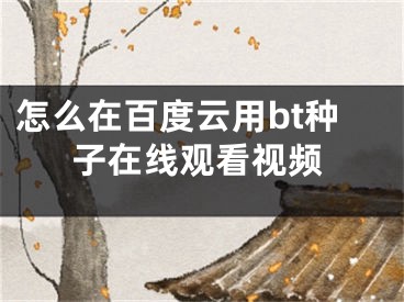 怎么在百度云用bt種子在線觀看視頻