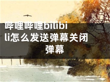 嗶哩嗶哩bilibili怎么發(fā)送彈幕關(guān)閉彈幕