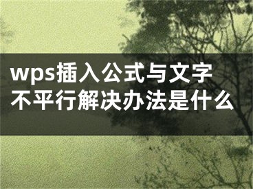 wps插入公式與文字不平行解決辦法是什么