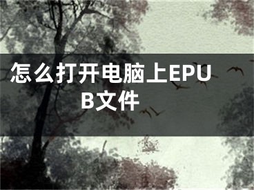 怎么打開電腦上EPUB文件 