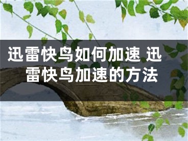 迅雷快鳥如何加速 迅雷快鳥加速的方法