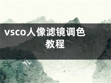 vsco人像濾鏡調(diào)色教程