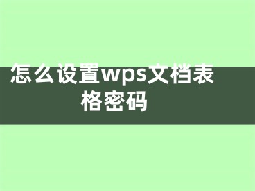 怎么設(shè)置wps文檔表格密碼 