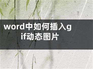 word中如何插入gif動(dòng)態(tài)圖片