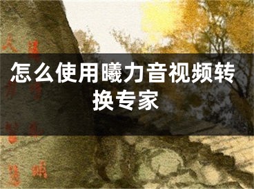 怎么使用曦力音視頻轉(zhuǎn)換專家