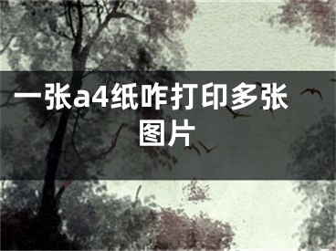 一張a4紙咋打印多張圖片