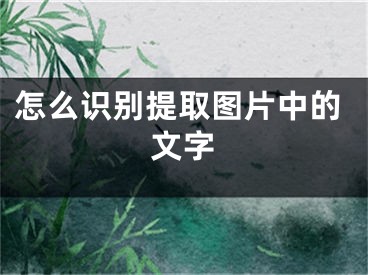 怎么識別提取圖片中的文字