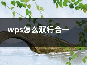 wps怎么雙行合一