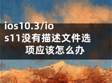 ios10.3/ios11沒(méi)有描述文件選項(xiàng)應(yīng)該怎么辦