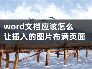 word文檔應(yīng)該怎么讓插入的圖片布滿頁面