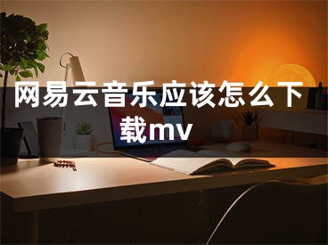 網(wǎng)易云音樂應(yīng)該怎么下載mv