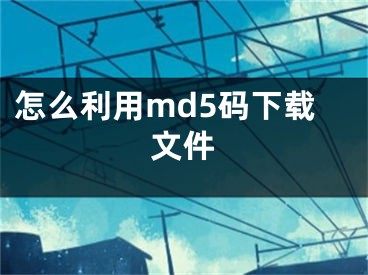 怎么利用md5碼下載文件