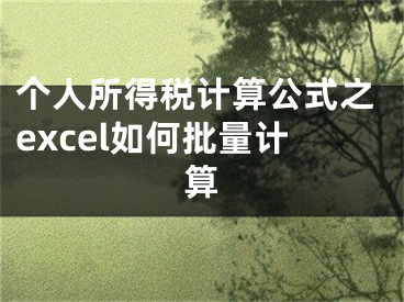 個人所得稅計算公式之excel如何批量計算