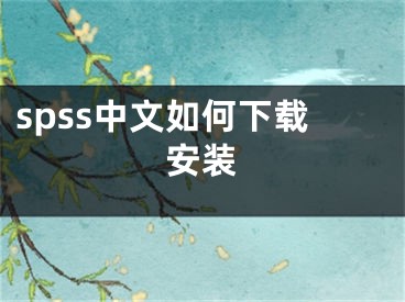 spss中文如何下載安裝