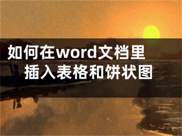 如何在word文檔里插入表格和餅狀圖