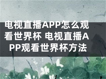 電視直播APP怎么觀看世界杯 電視直播APP觀看世界杯方法